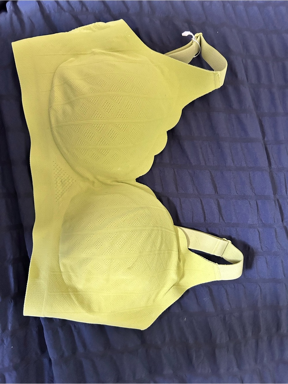 Supportive Seamless Wireless Bra in Lime Green